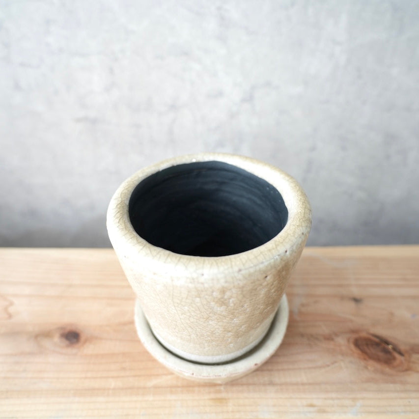 陶器鉢(ベージュ色)|インテリア・観葉植物用ポット