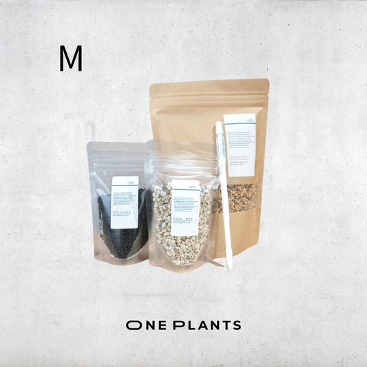 水分チェッカー（サスティM）×植え替え3点セット｜培養土・化粧石（黒）・鉢底石付き