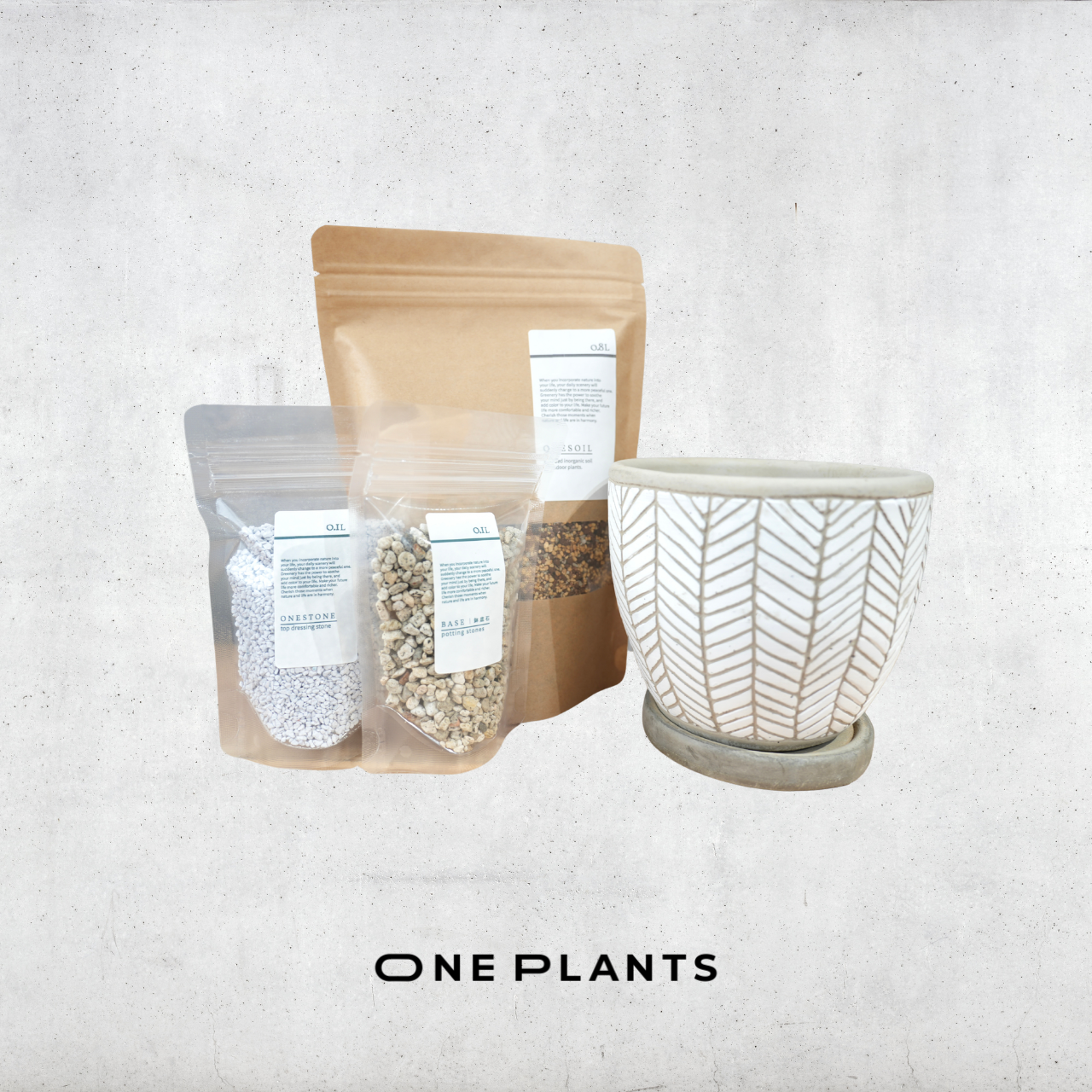 鉢×植え替え3点セット｜ラインデザインセメント鉢｜培養土・化粧石（白）・鉢底石付き