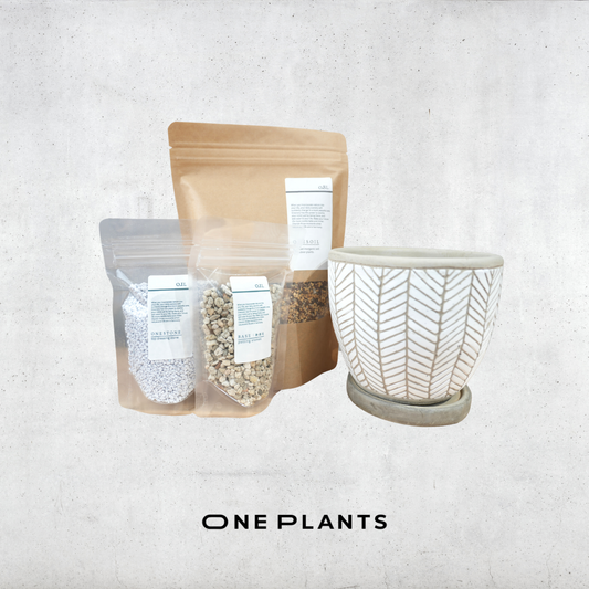 鉢×植え替え3点セット｜ラインデザインセメント鉢｜培養土・化粧石（白）・鉢底石付き