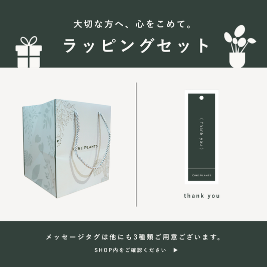 ラッピングセット（オリジナル紙袋＋メッセージタグ）｜Thank You