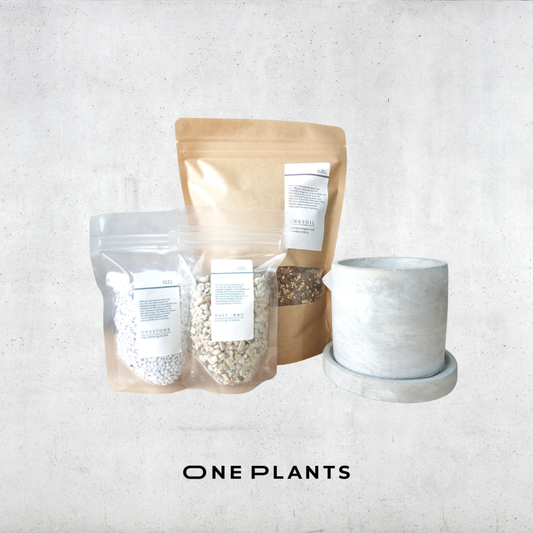 鉢×植え替え3点セット｜コンクリート楕円鉢｜培養土・化粧石（白）・鉢底石付き