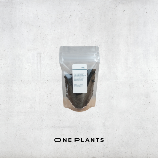 ワンストーン｜ONESTONE｜観葉植物用 化粧石・マルチング材（黒）