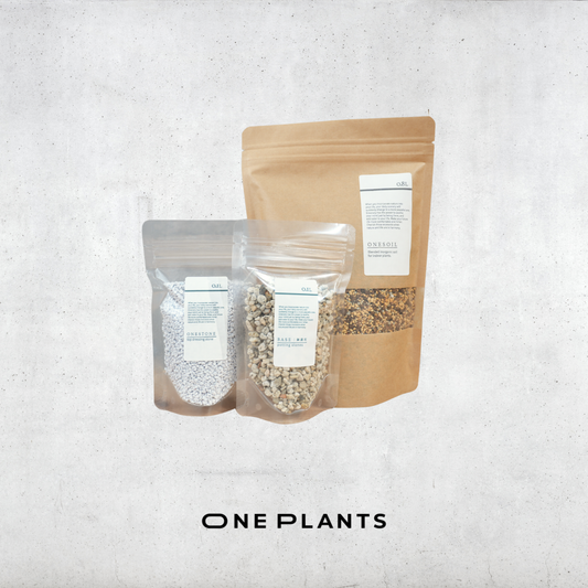 植え替え3点セット｜ONESOIL × ONESTONE（白） × BASESTONE
