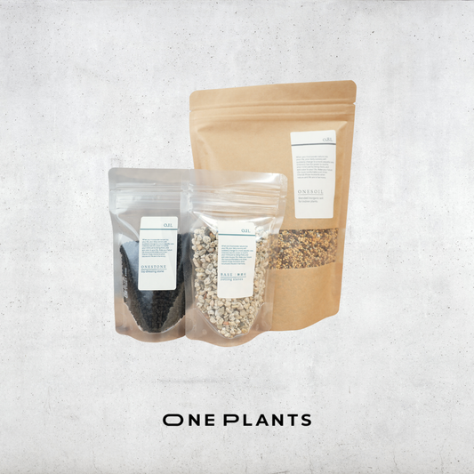 植え替え3点セット｜ONESOIL × ONESTONE（黒） × BASESTONE