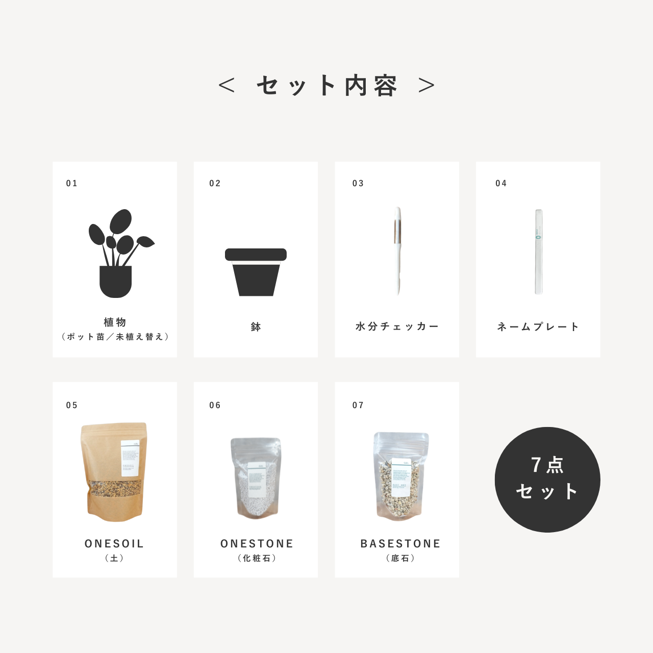 ガジュマル｜幸せを呼ぶ多幸の木