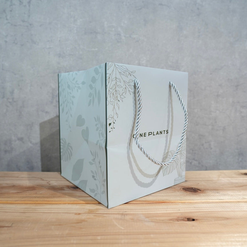 ラッピングセット（オリジナル紙袋＋メッセージタグ）｜Congratulations