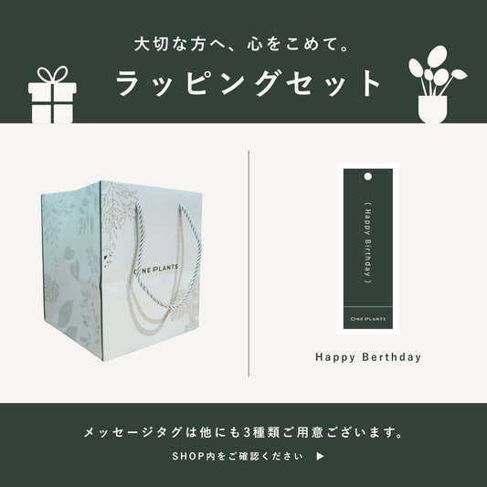 ラッピングセット（オリジナル紙袋＋メッセージタグ）｜Happy Berthday