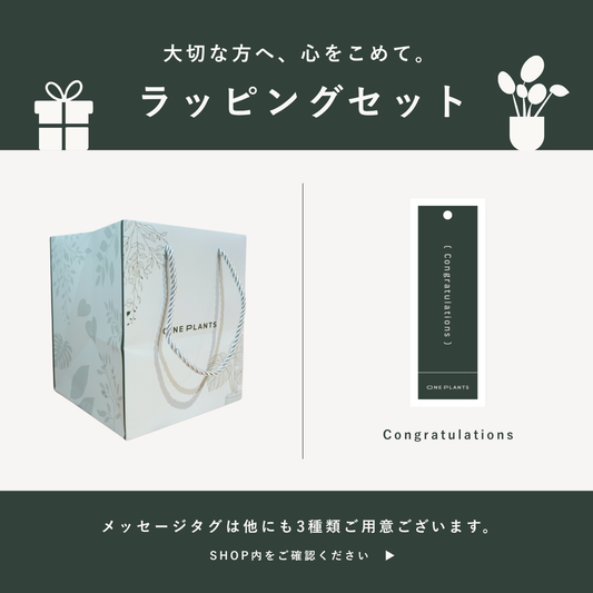 ラッピングセット（オリジナル紙袋＋メッセージタグ）｜Congratulations